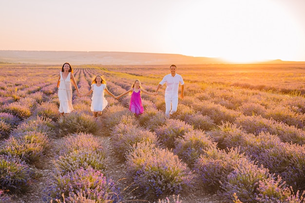 De familie op lavendel bloeit gebied op de zonsondergang
