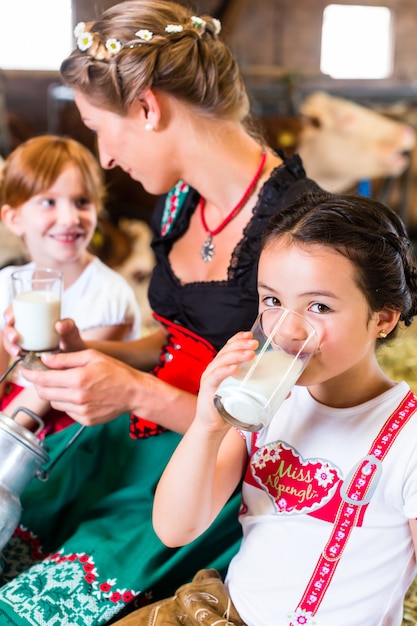 De familiemelk van Beieren in koeschuur