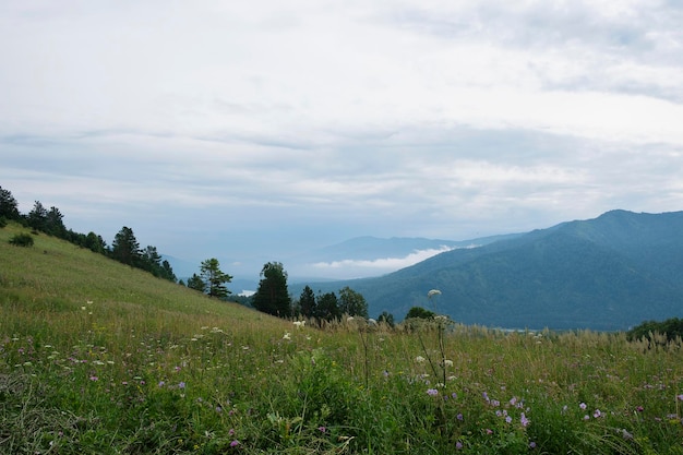 de fascinerende schoonheid van de natuur van de zomer Altai