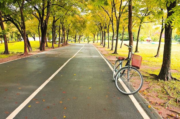 De fiets op pad van park