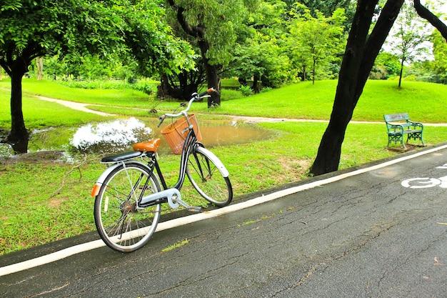 De fiets op pad van park