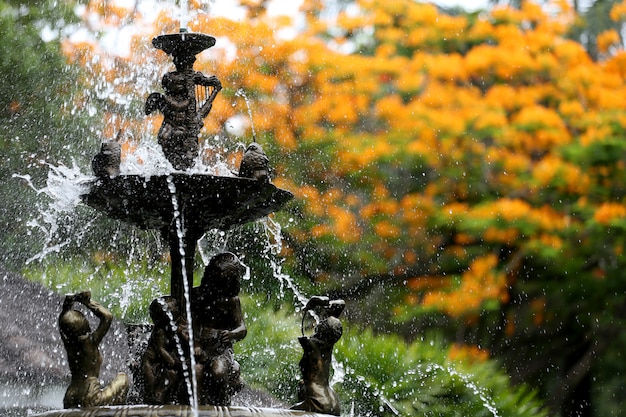 De fontein in de tuin en hebben pauwbloemen is bloeiend.