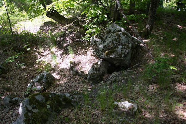 De foto toont enorme rotsblokken, grote stenen in een zomergroen bos Ulyanovsk