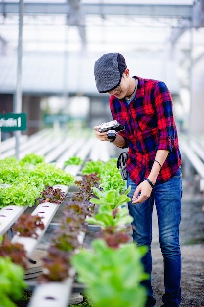 De fotograaf fotografeert met plezier de saladepercelen.