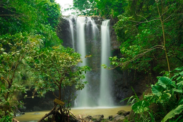 De frisse natuur van de Curug of watervallen Gondoroiyo in Semarang Indonesië