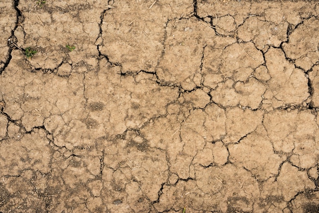 De gebarsten textuur van de grond droge aarde