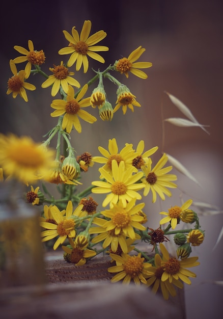 de gele bloemen