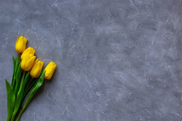 De gele lentebloemen tulpen op grijs