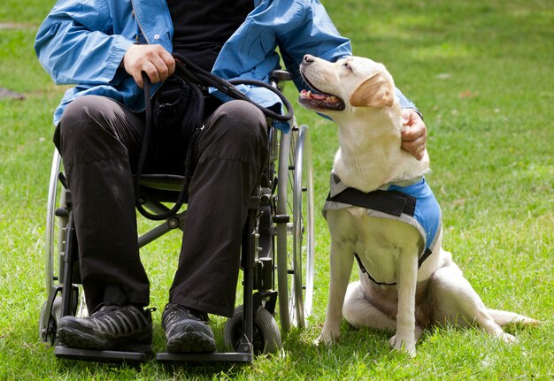 De geleidehond van labrador en zijn gehandicapte eigenaar