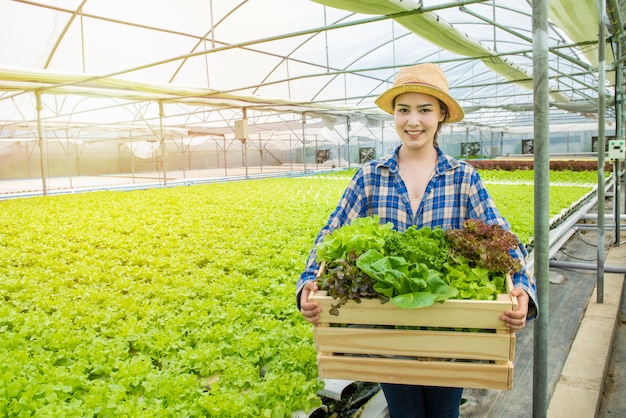 De gelukkige Aziatische mand van de de vrouwenhand van de landbouwerstuinman verse groene organische groente in serre hydroponic organisch landbouwbedrijf, Kleine ondernemersondernemerconcept