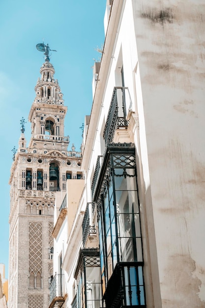 De giralda van Sevilla tussen gebouwen op heldere dag