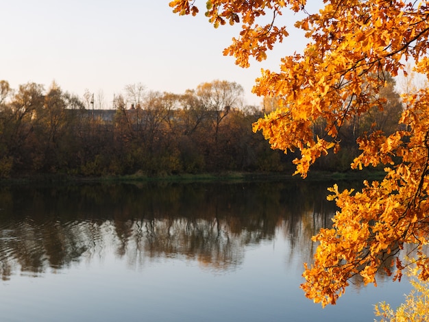 De gouden gloed van de herfst. Herfst met oranje bladeren en copyspace