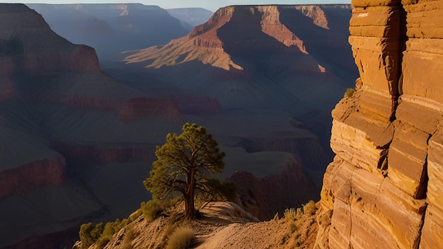 Foto de grand canyon in arizona