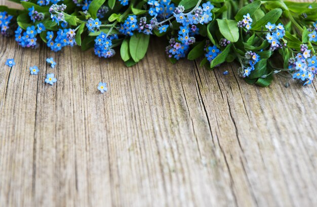 De grens van de vergeet-mij-nietjesbloemen