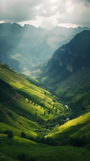 De groene heuvels van Vietnam