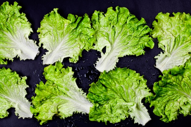 De groene organische bladeren van de slasalade op natte zwarte achtergrond.