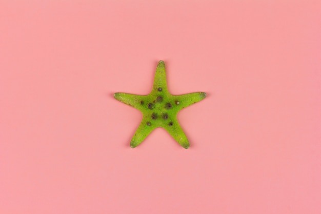 De groene zeester op roze close-up als achtergrond, hoogste meningsvlakte legt