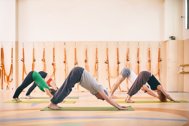 De groep mensen die yoga naar beneden toegekeerde hond doen stelt op matten bij studio