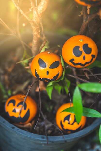 De groep sinaasappelen ziet het schilderen met eng op Halloween-partijdag onder ogen op de tuinplaats.