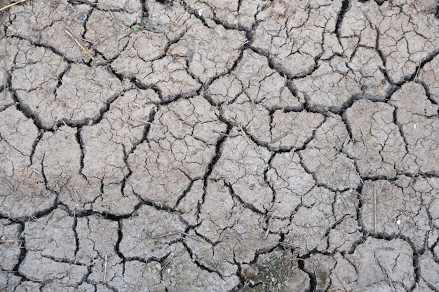 De grond barst in het droge seizoen