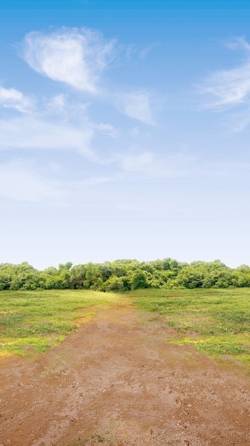 De grond op het veld met blauwe hemelachtergrond