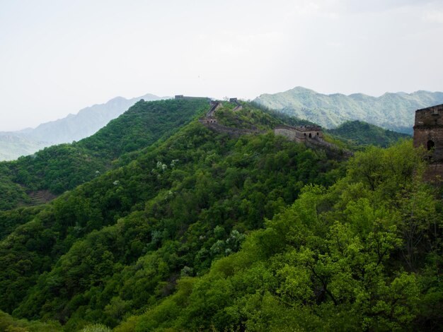 De Grote Muur van China op het Mutianyu-gedeelte in de buurt van Peking.