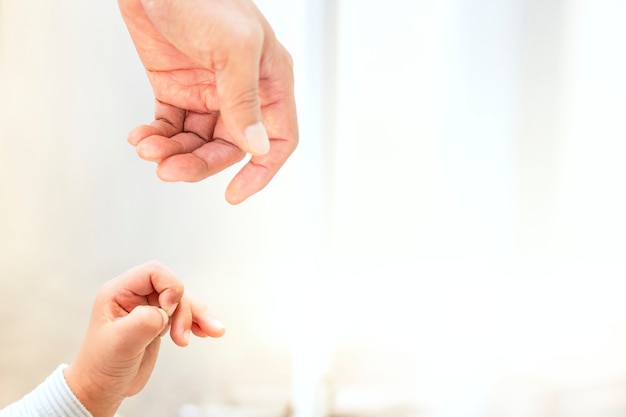 Foto de hand van de baby probeert de hand van de ouders vast te houden op een helderwitte backgr