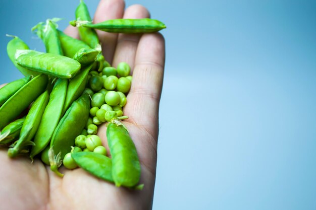 de hand van de man houdt een groene polka dot op een witte achtergrond