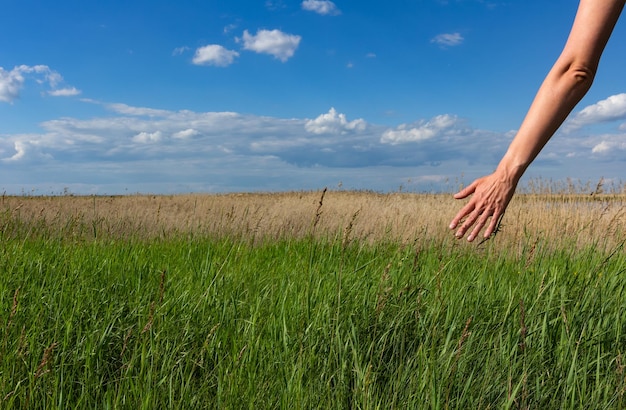 De hand van de vrouw die het gras en de blauwe lucht op de achtergrond aanraakt, voelt natuurconcept