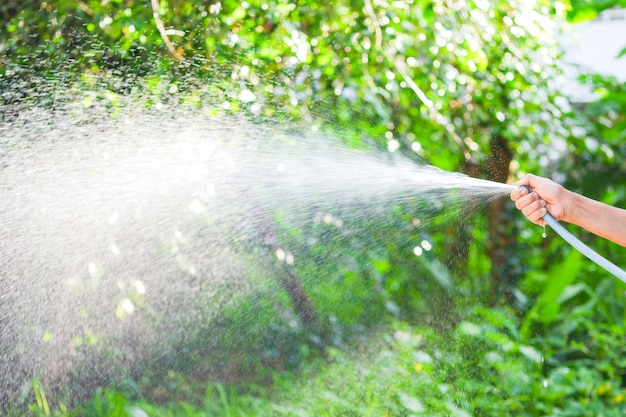 De hand van de vrouw houdt de slang vast om water naar de bomen in de tuin te spuiten.