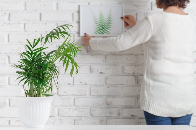 De hand van de vrouw houdt fotokader en concrete pot met huisinstallatie