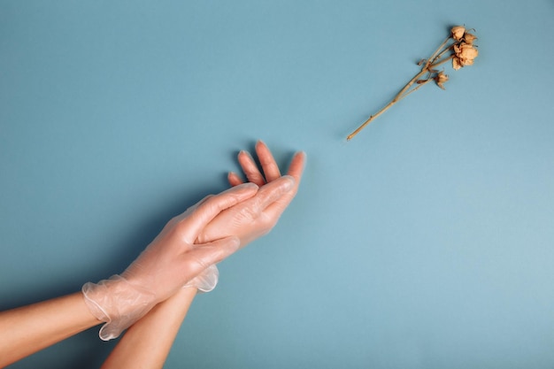 De hand van de vrouw in witte medische handschoenen reikt tot de verdorde witte roos geïsoleerd op blauwe achtergrond