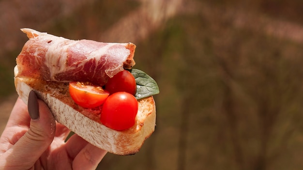 De hand van de vrouw met italiaanse de wijnvoorgerecht van cherrytomaat bruschetta