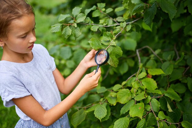 De hand van een klein meisje dat vasthoudt en door vergrootglas kijkt op hazelnootboom