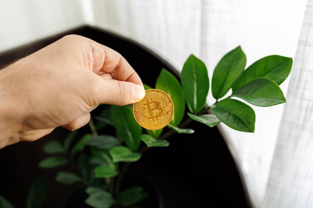 De hand van een man houdt een gouden Bitcoin-muntstuk met zijn vingers tegen de achtergrond van een dollarboom