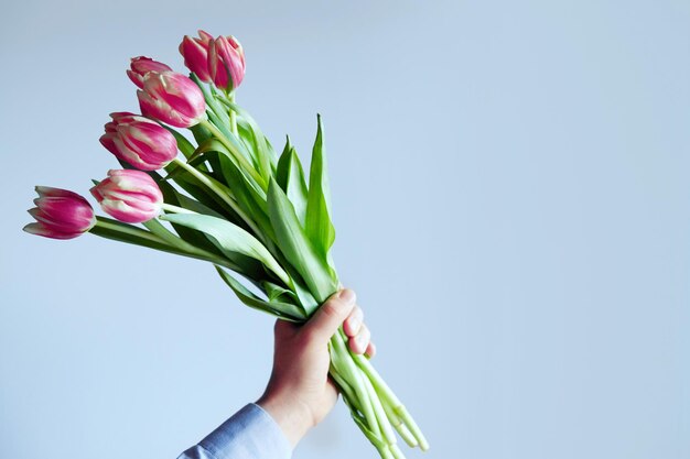 De hand van een man houdt een mooi boeket tulpen vast tegen een blauwe achtergrond