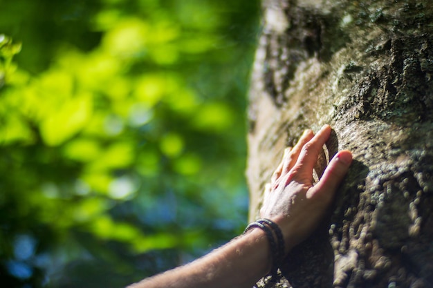 De hand van een man raakt de boomstam close-up SchorshoutZorgen voor het milieu Het ecologieconcept van het redden van de wereld en liefde voor de natuur door de mens