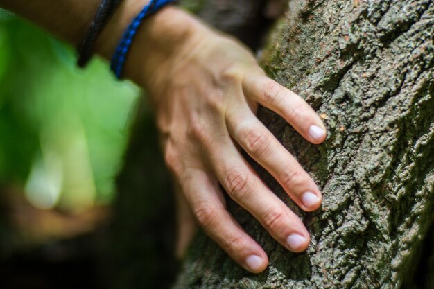 Foto de hand van een man raakt de stam van de boom in close-up bark hout zorg voor het milieu het ecologische concept van het redden van de wereld en de liefde voor de natuur door de mens