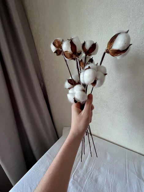 Foto de hand van een vrouw houdt een boeket katoenen bloemen boven een tafel bij een raam met gordijnen