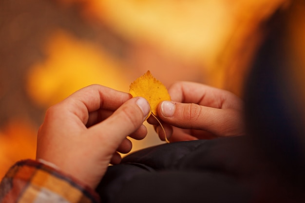 De handen die van het close-upkind een klein geel de herfstblad houden.