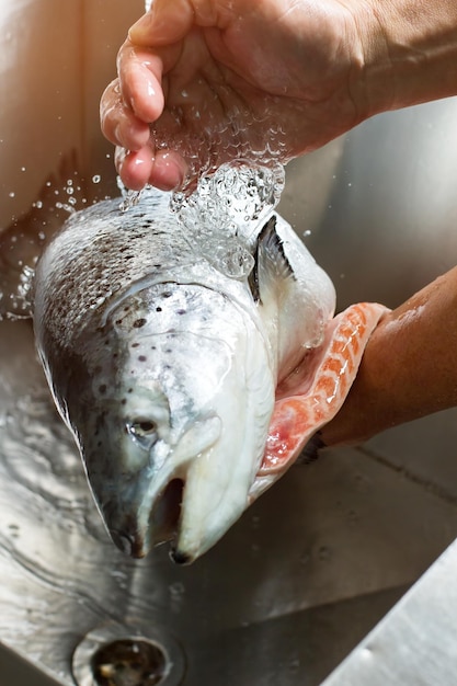 De handen van de mens wassen een vis. Vissen die in gootsteen worden gewassen. Het product moet perfect schoon zijn. Zeevruchten geserveerd in het plaatselijke café.