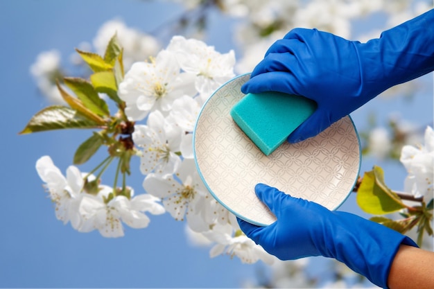 De handen van de vrouw in beschermende handschoenen met spons en plaat op natuurlijke achtergrond