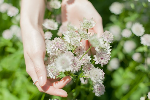 De handen van een jonge vrouw omhelzen teder bloemen in het veld.