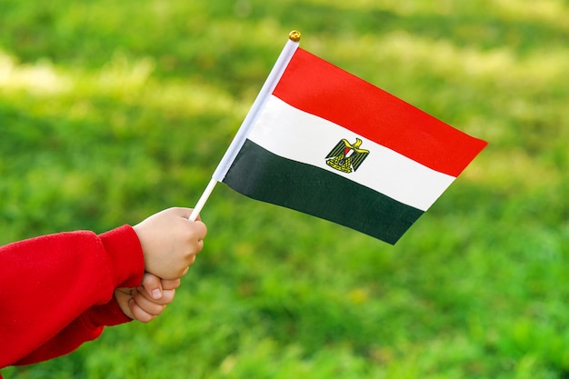 De handen van het meisje houden de vlag van Egypte