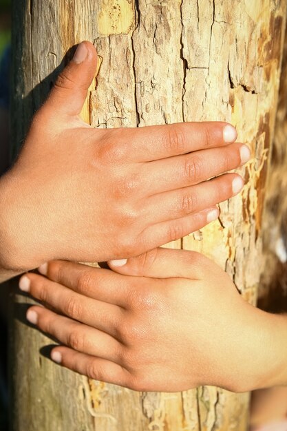 De handen van kinderen houden een boomstronk vast in het park in de natuur