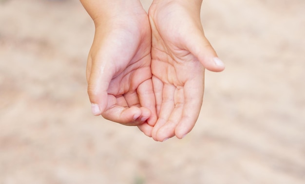 De handen van kinderen zijn uitgestrekt en raken de natuur