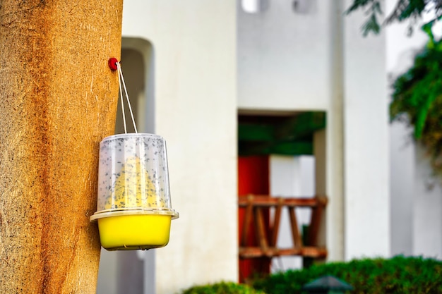 De handval voor vliegen van geel plastic hangt aan een boom tegen een achtergrond van groen. Hoge kwaliteit foto