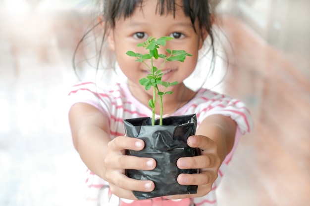 De heldere meisje en zaailingen zijn klaar te planten.