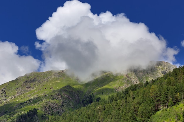 De helling van een berg met vegetatie wordt verborgen door een wolk. Verandering van het weer in het hoogland van de Kaukasus.