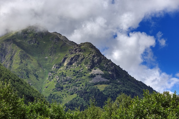 Foto de helling van een berg met vegetatie wordt verborgen door een wolk. verandering van het weer in het hooglandgebied van het kaukasusgebergte.